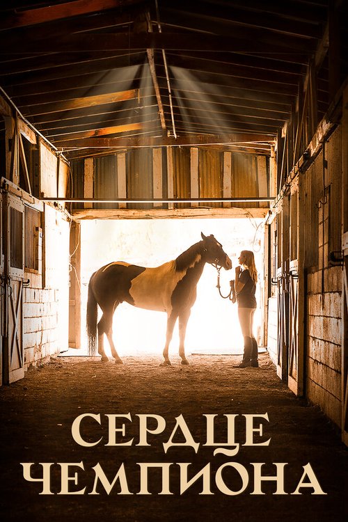 Обложка (Постер) Сердце чемпиона / A Horse from Heaven (2018) HDRip Обложка (Постер) Сердце чемпиона / A Horse from Heaven (2018) HDRip