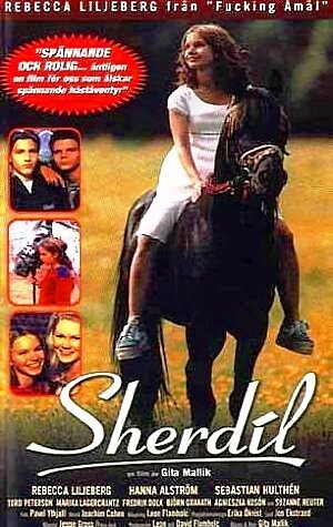 Обложка (Постер) Sherdil (1999) HDRip Обложка (Постер) Sherdil (1999) HDRip