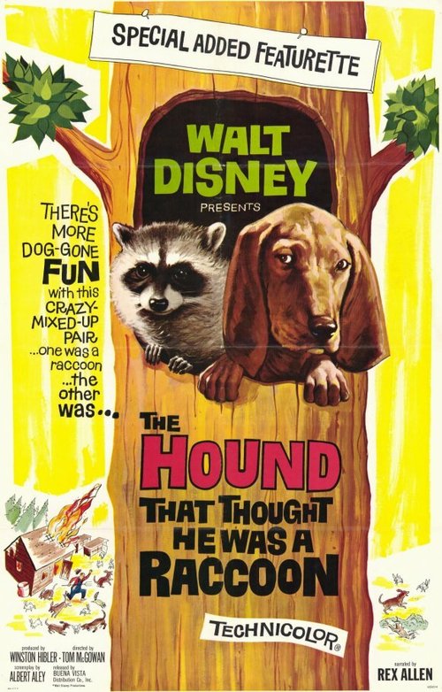 Обложка (Постер) Собака, которая думала, что была енотом / The Hound That Thought He Was a Raccoon (1960) SATRip Обложка (Постер) Собака, которая думала, что была енотом / The Hound That Thought He Was a Raccoon (1960) SATRip