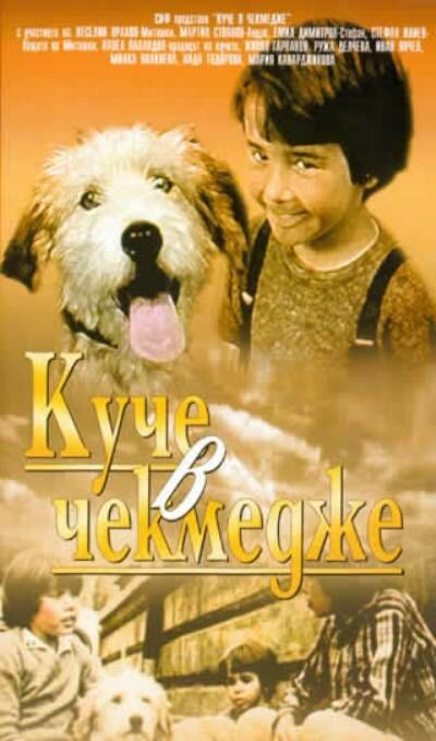 Обложка (Постер) Собака в ящике / Kuche v chekmedzhe (1982) SATRip Обложка (Постер) Собака в ящике / Kuche v chekmedzhe (1982) SATRip