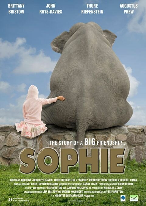 Обложка (Постер) Софи / Sophie (2010) HDRip Обложка (Постер) Софи / Sophie (2010) HDRip