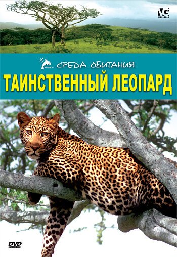 Обложка (Постер) Таинственный леопард / The Secret Leopard (2001) HDRip Обложка (Постер) Таинственный леопард / The Secret Leopard (2001) HDRip