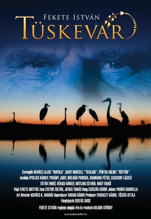 Обложка (Постер) Терновая крепость / Tüskevár (2012) HDRip Обложка (Постер) Терновая крепость / Tüskevár (2012) HDRip