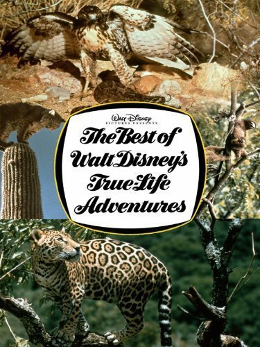 Обложка (Постер) The Best of Walt Disney's True-Life Adventures (1975) SATRip Обложка (Постер) The Best of Walt Disney's True-Life Adventures (1975) SATRip