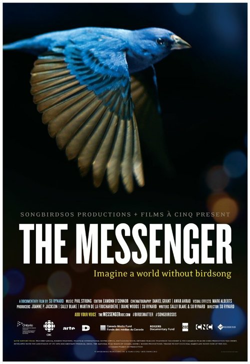 Обложка (Постер) The Messenger (2015) HDRip Обложка (Постер) The Messenger (2015) HDRip