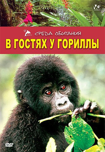 Обложка (Постер) В гостях у гориллы / Gorilla Gorilla (1997) HDRip Обложка (Постер) В гостях у гориллы / Gorilla Gorilla (1997) HDRip