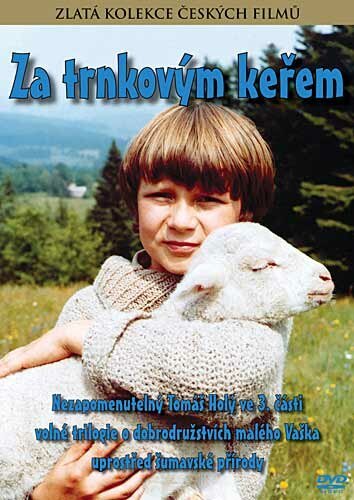 Обложка (Постер) За кустами терновника / Za trnkovym kerem (1982) SATRip Обложка (Постер) За кустами терновника / Za trnkovym kerem (1982) SATRip