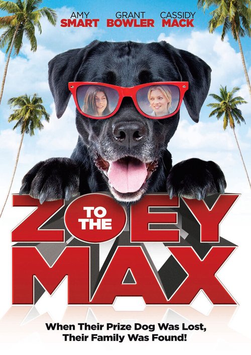 Обложка (Постер) Zoey to the Max (2015) HDRip Обложка (Постер) Zoey to the Max (2015) HDRip