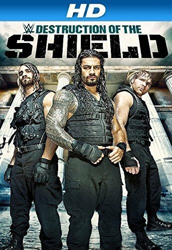 Обложка (Постер) Journey to SummerSlam: The Destruction of the Shield (2014) HDRip