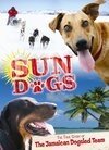 Обложка (Постер) Sun Dogs (2006) HDRip