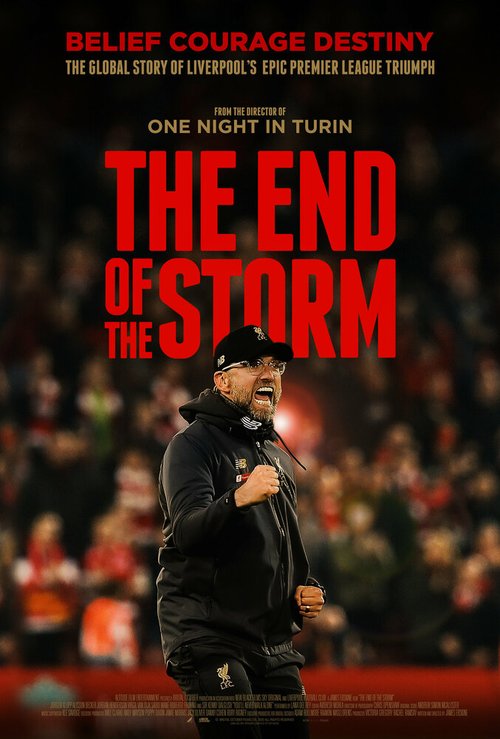 Обложка (Постер) The End of the Storm (2020) HDRip