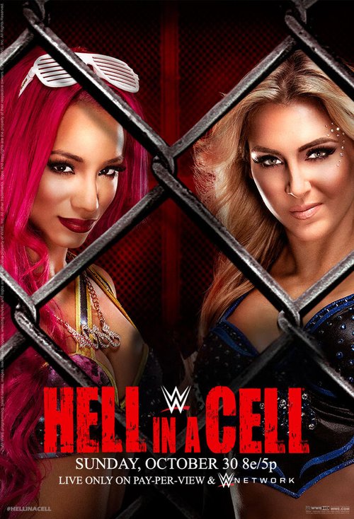 Обложка WWE Ад в клетке / WWE Hell in a Cell (2016) 