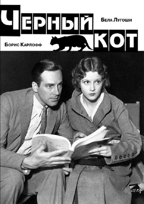 Обложка (Постер) Черный кот / The Black Cat (1934) SATRip Обложка (Постер) Черный кот / The Black Cat (1934) SATRip