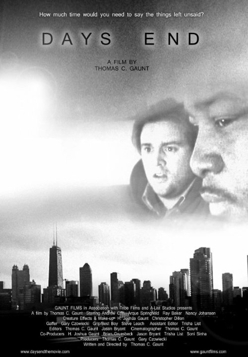 Обложка (Постер) Days End (2013) Обложка (Постер) Days End (2013)