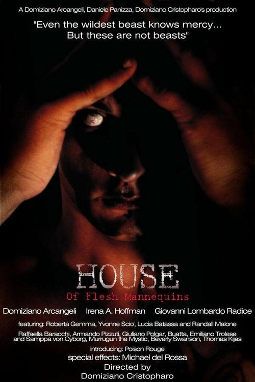 Обложка (Постер) Дом из плоти манекенов / House of Flesh Mannequins (2009) HDRip Обложка (Постер) Дом из плоти манекенов / House of Flesh Mannequins (2009) HDRip