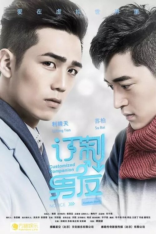 Обложка (Постер) Индивидуальный компаньон / Ding zhi nan you (2017) HDRip