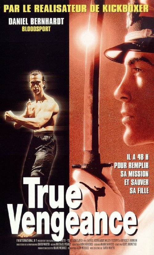 Обложка (Постер) Один против якудза / True Vengeance (1997) HDRip Обложка (Постер) Один против якудза / True Vengeance (1997) HDRip