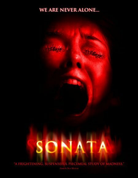 Обложка (Постер) Sonata (2004) HDRip Обложка (Постер) Sonata (2004) HDRip