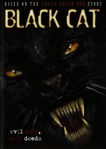 Обложка (Постер) Черная кошка / Black Cat (2004) HDRip Обложка (Постер) Черная кошка / Black Cat (2004) HDRip