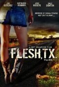 Обложка (Постер) Flesh, TX (2009) HDRip Обложка (Постер) Flesh, TX (2009) HDRip