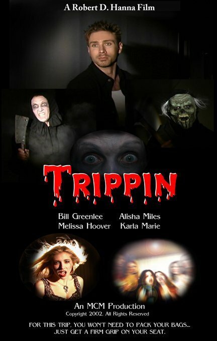 Обложка (Постер) Trippin (2003) HDRip Обложка (Постер) Trippin (2003) HDRip