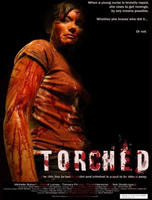 Обложка (Постер) Запытанный / Torched (2004) HDRip