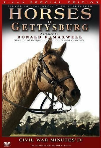 Обложка (Постер) Horses of Gettysburg (2006) HDRip